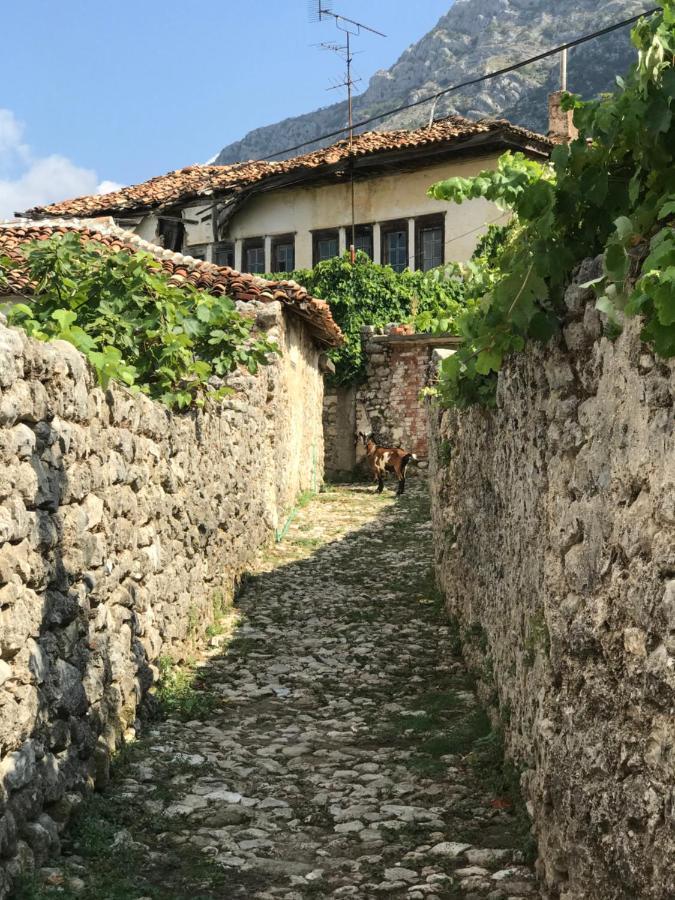 Kaloshi Villa Krujë Exterior foto